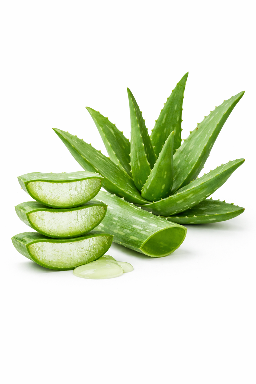 Gentle Natural Actives